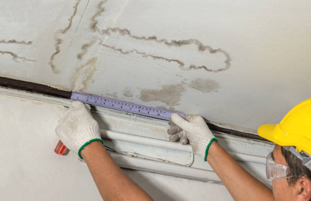 Reliable Structural Drying contractor in Mount Pleasant, OH by Water Damage Irwin